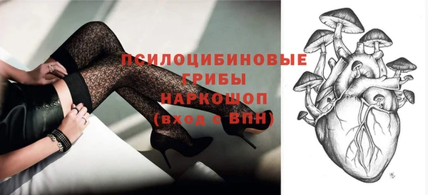 шишки Верея