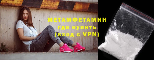 шишки Верея