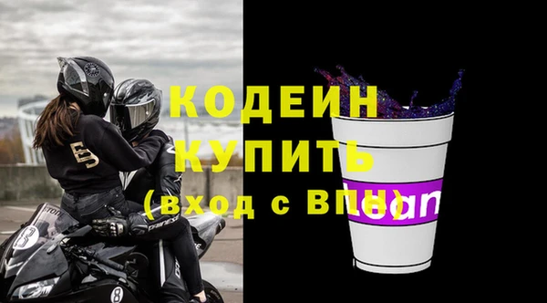 шишки Верея