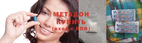 шишки Верея