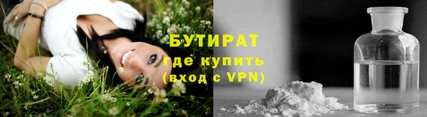 шишки Верея