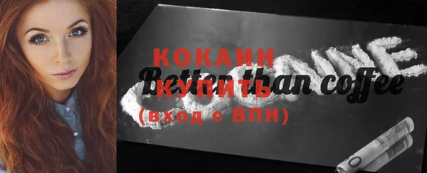 шишки Верея