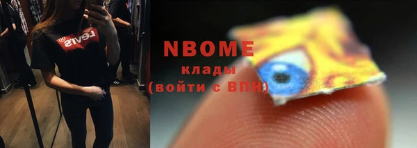 шишки Верея