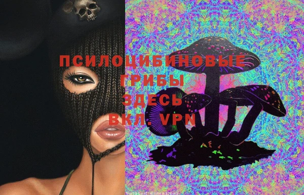 индика Верхнеуральск