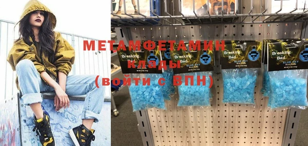 шишки Верея