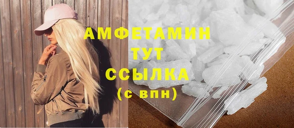 шишки Верея