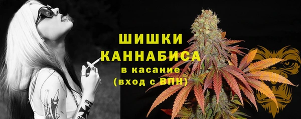шишки Верея