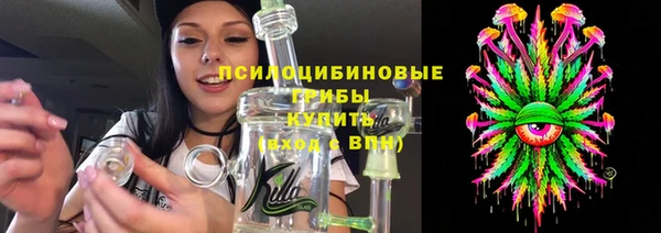 индика Верхнеуральск
