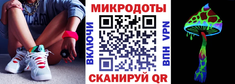 закладка Елец Псилоцибиновые грибы прущие грибы