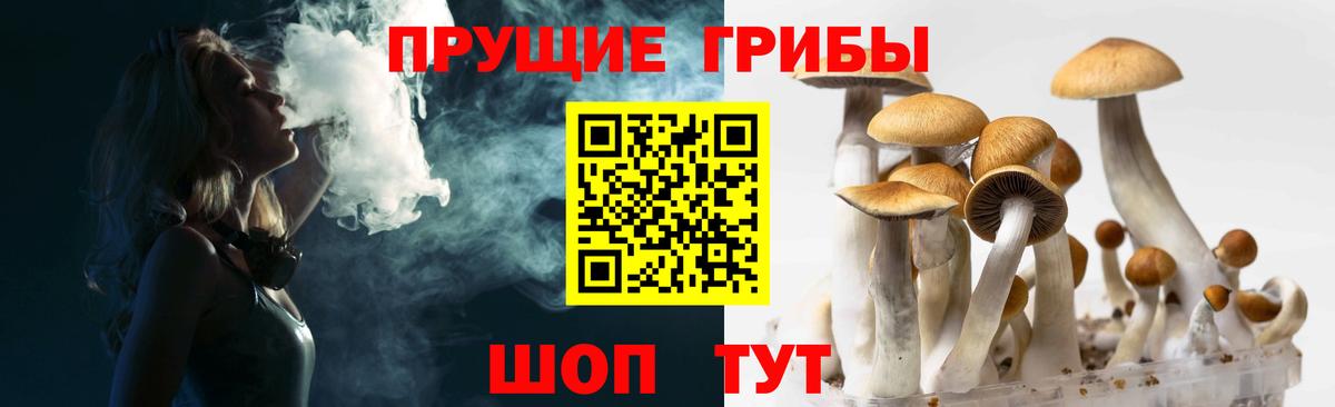 Елец  как найти закладки  Вход с VPN  Галлюциногенные грибы ЛСД 
